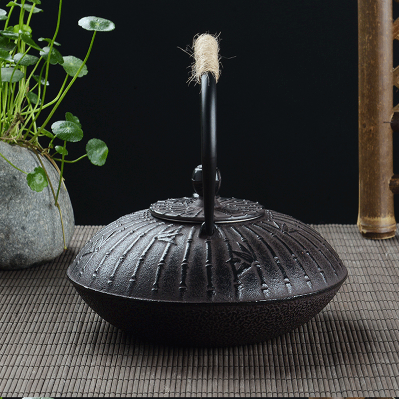 Teiera Retrò in Ghisa da 900ml - Cast Iron Tetsubin recensione e prezzo